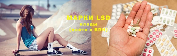стаф Липки
