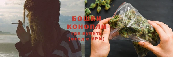 ГАЛЛЮЦИНОГЕННЫЕ ГРИБЫ Лабытнанги