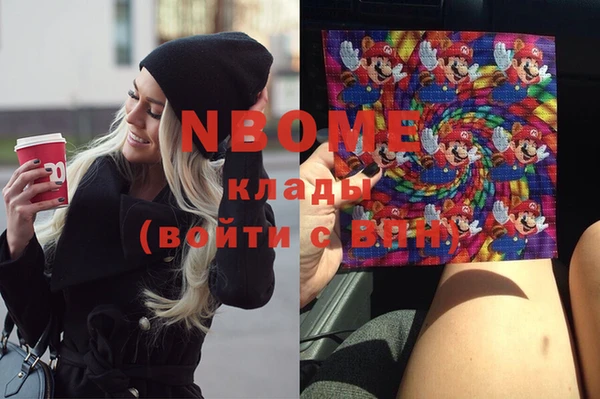 стаф Липки