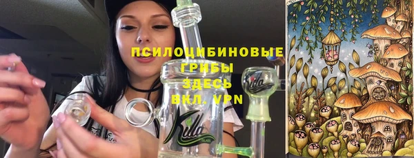 стаф Липки