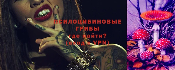 стаф Липки