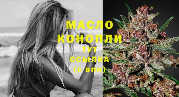 стаф Липки
