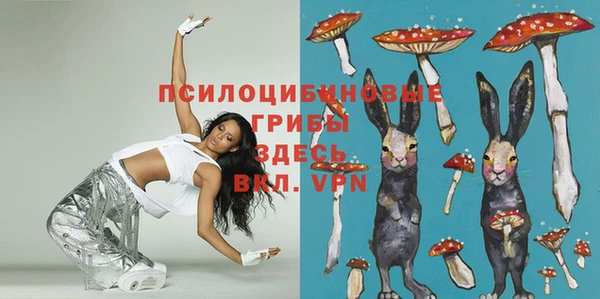 стаф Липки