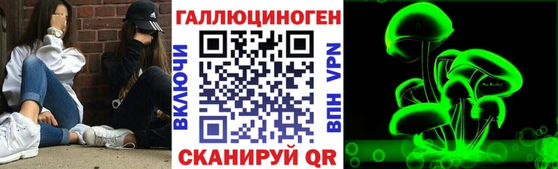OMG вход  Чайковский  Псилоцибиновые грибы Magic Shrooms 
