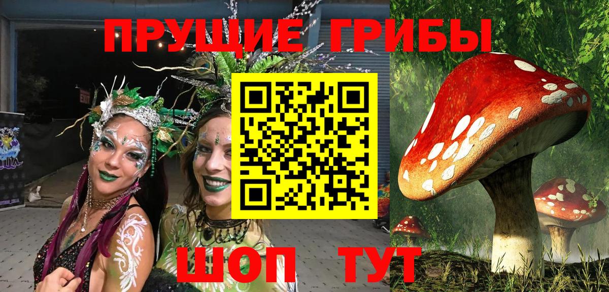 Псилоцибиновые грибы мухоморы Чайковский