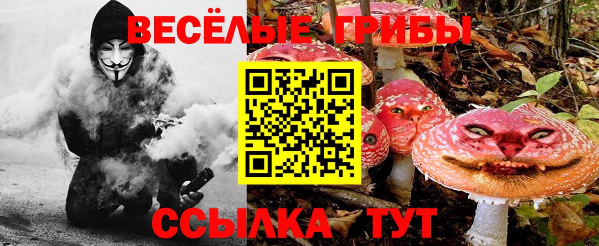 Псилоцибиновые грибы MAGIC MUSHROOMS  Вход с VPN  Чайковский 
