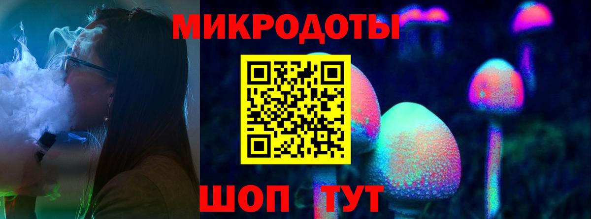 Псилоцибиновые грибы Psilocybe  Чайковский 