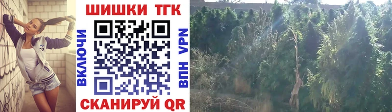 Бошки Шишки OG Kush  купить закладку  Чайковский 