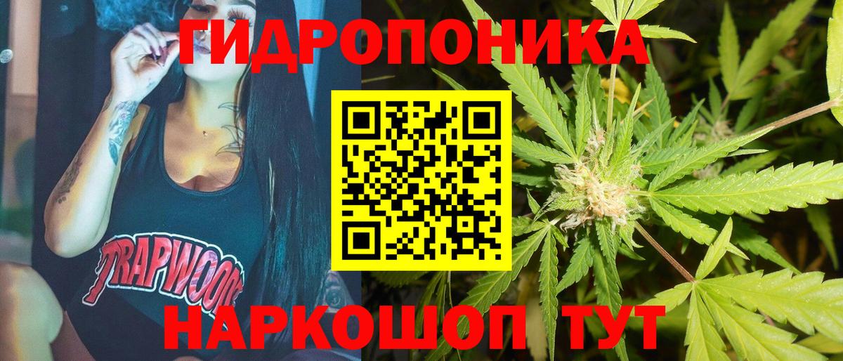 Конопля Amnesia  Вход с VPN  Чайковский  Марихуана гибрид  Конопля OG Kush 